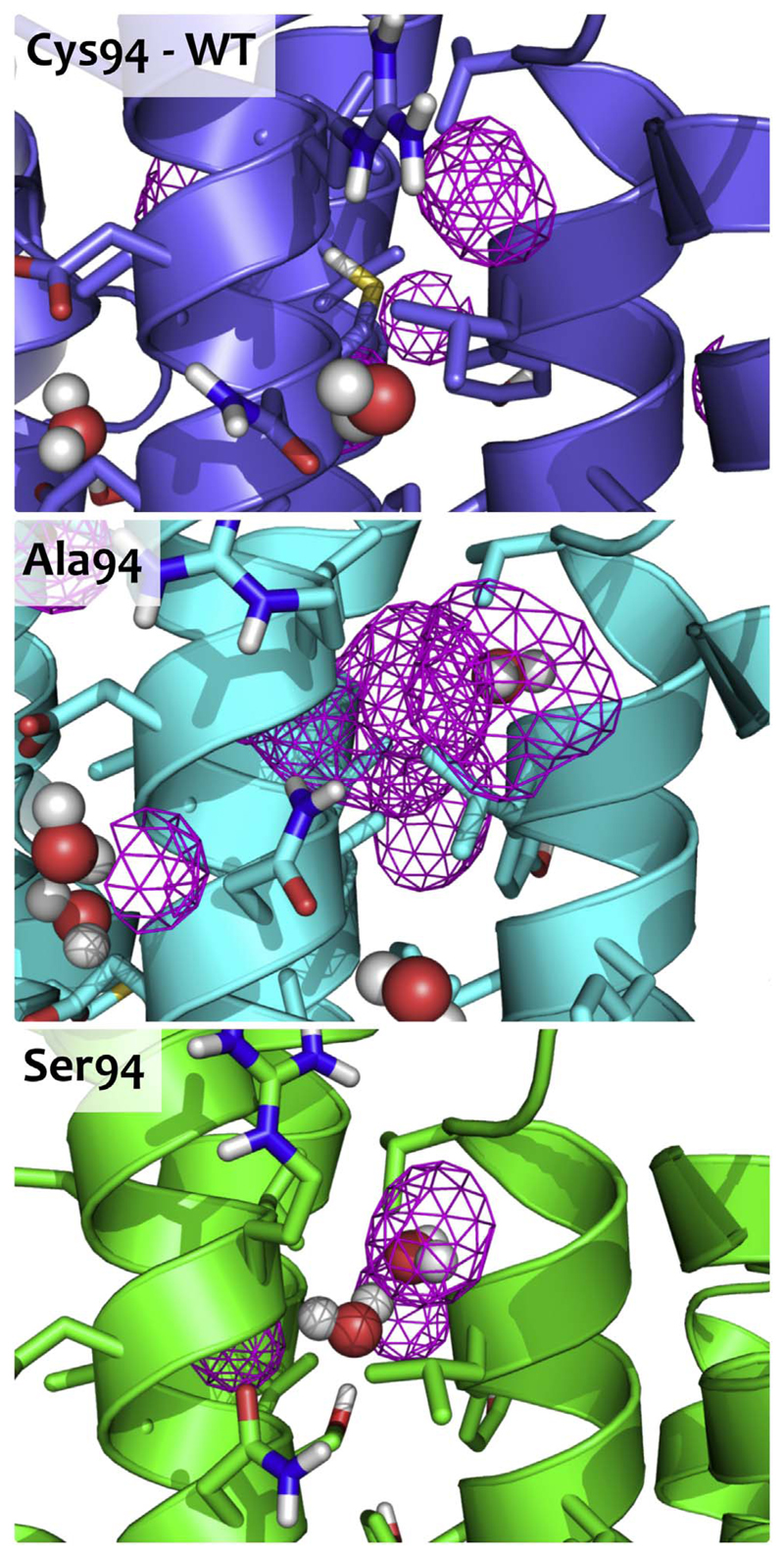 Fig. 7