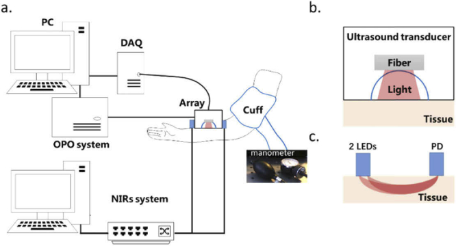 Fig. 1.