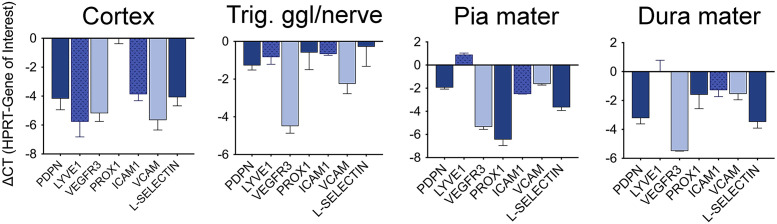 Fig. 9.