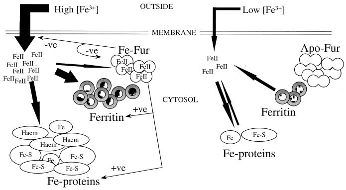 FIG. 10