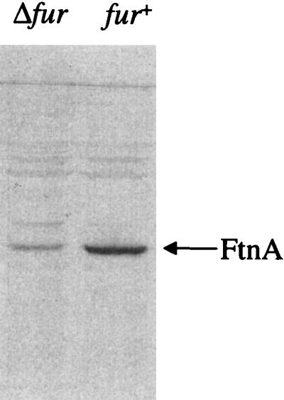 FIG. 7