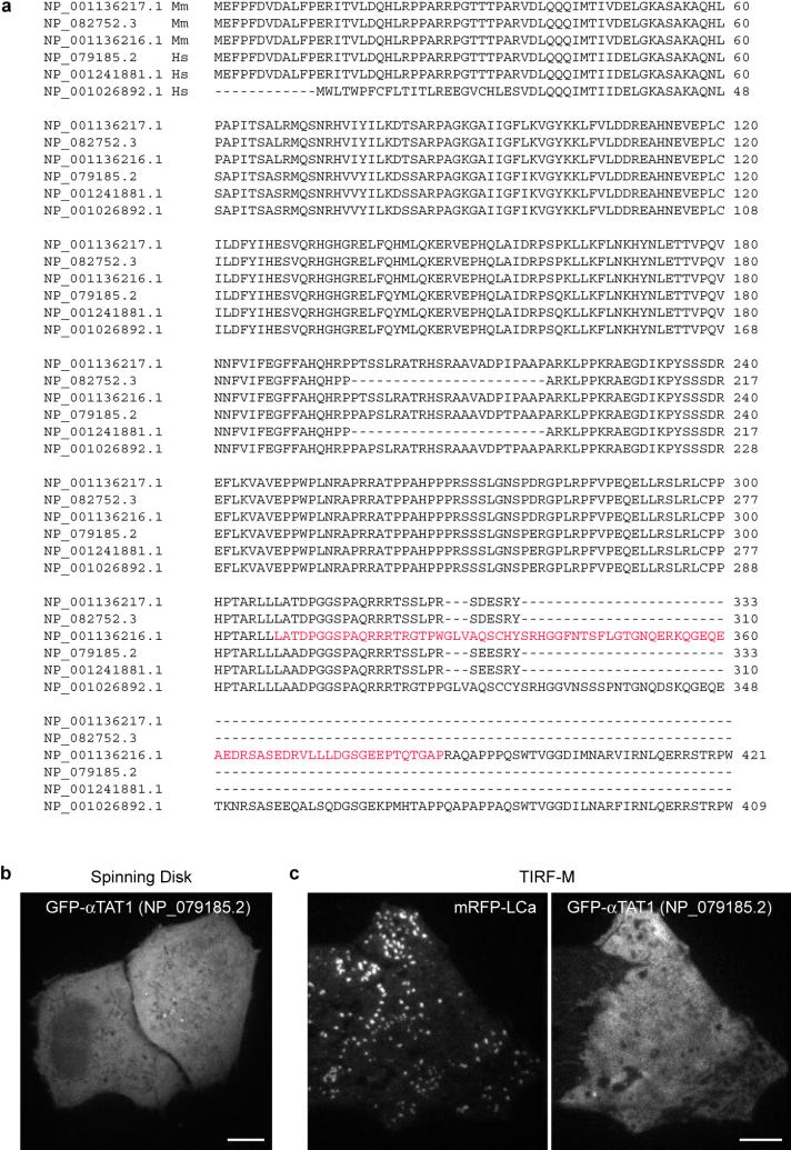 Extended Data Figure 7