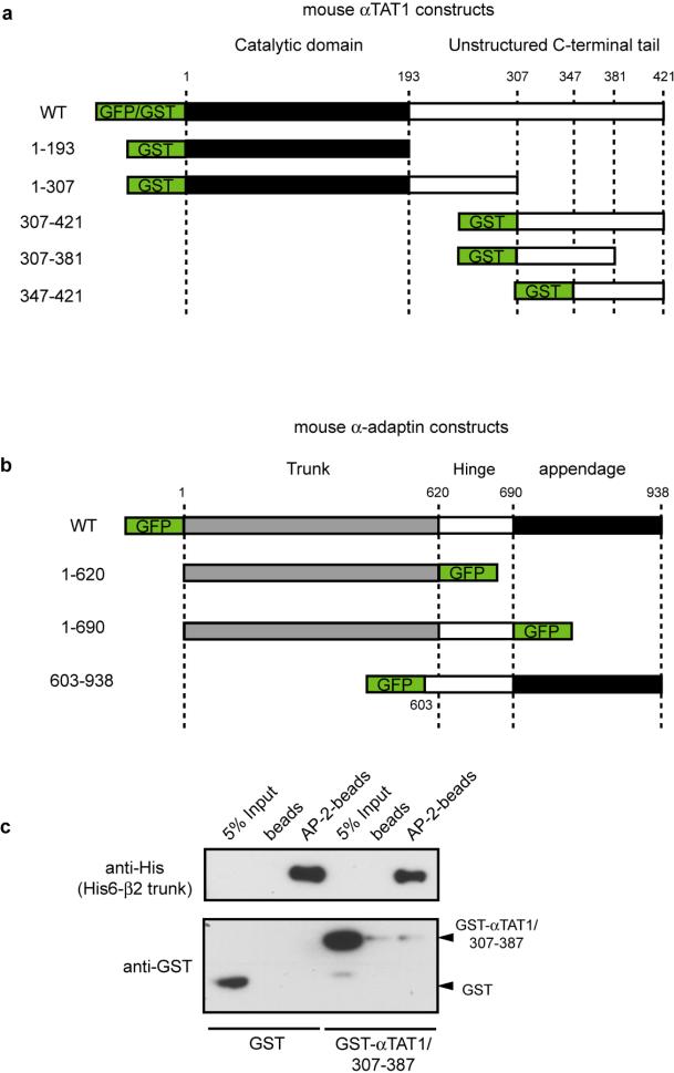 Extended Data Figure 6