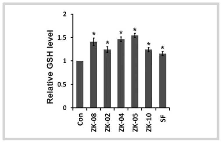 Fig. 4