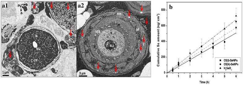 Fig. 5