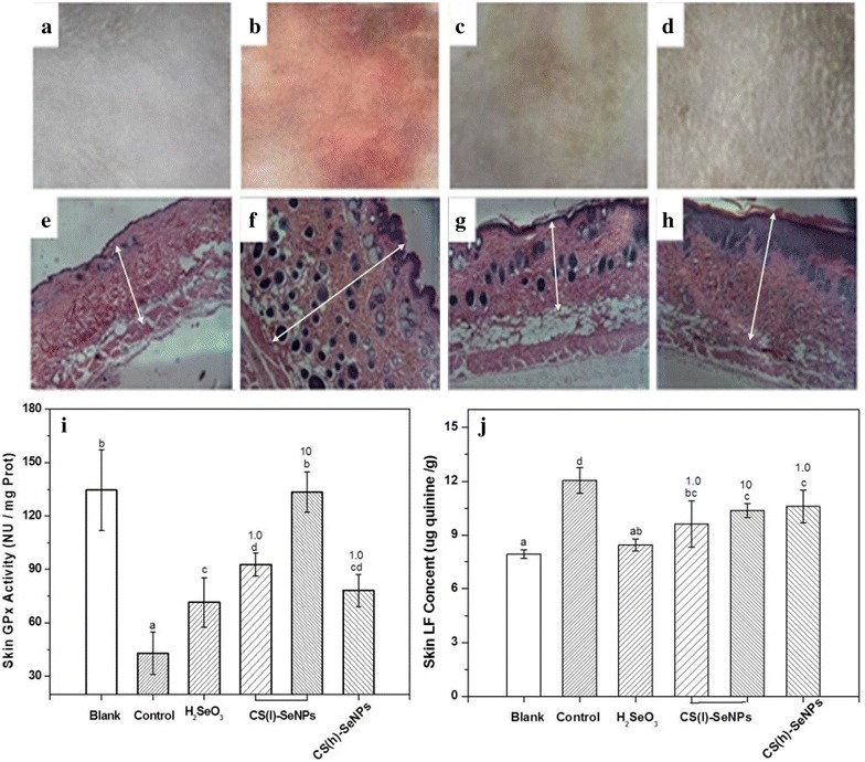 Fig. 6