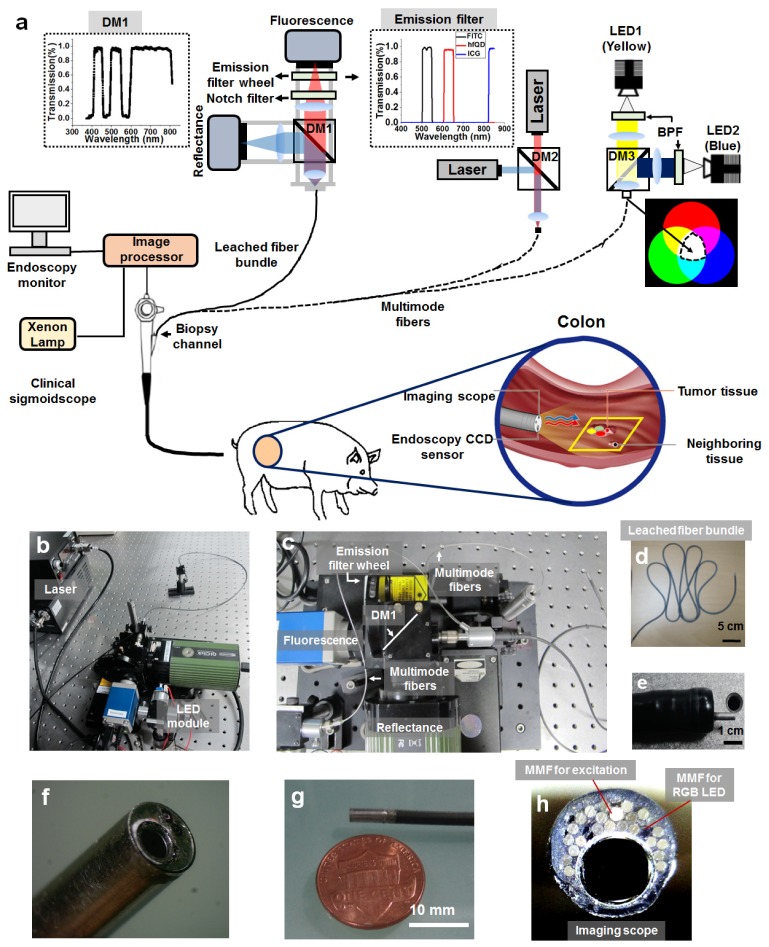 Fig. 1