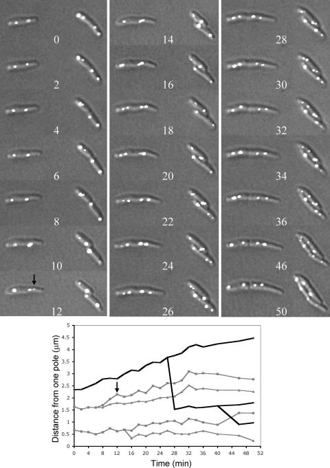 FIG. 7.