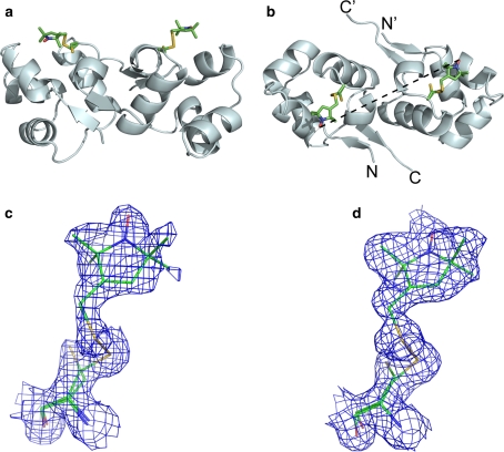 Fig. 1