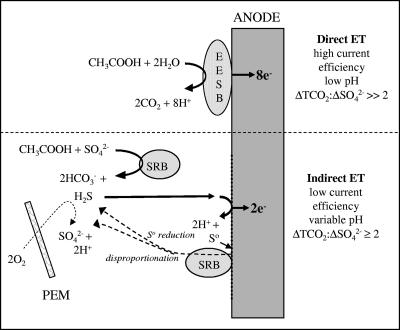 FIG. 11.