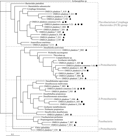 FIG. 9.