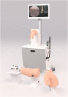 Fig. 1