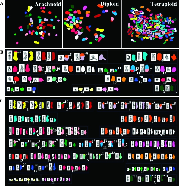 Figure 5