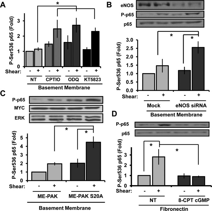 FIGURE 6: