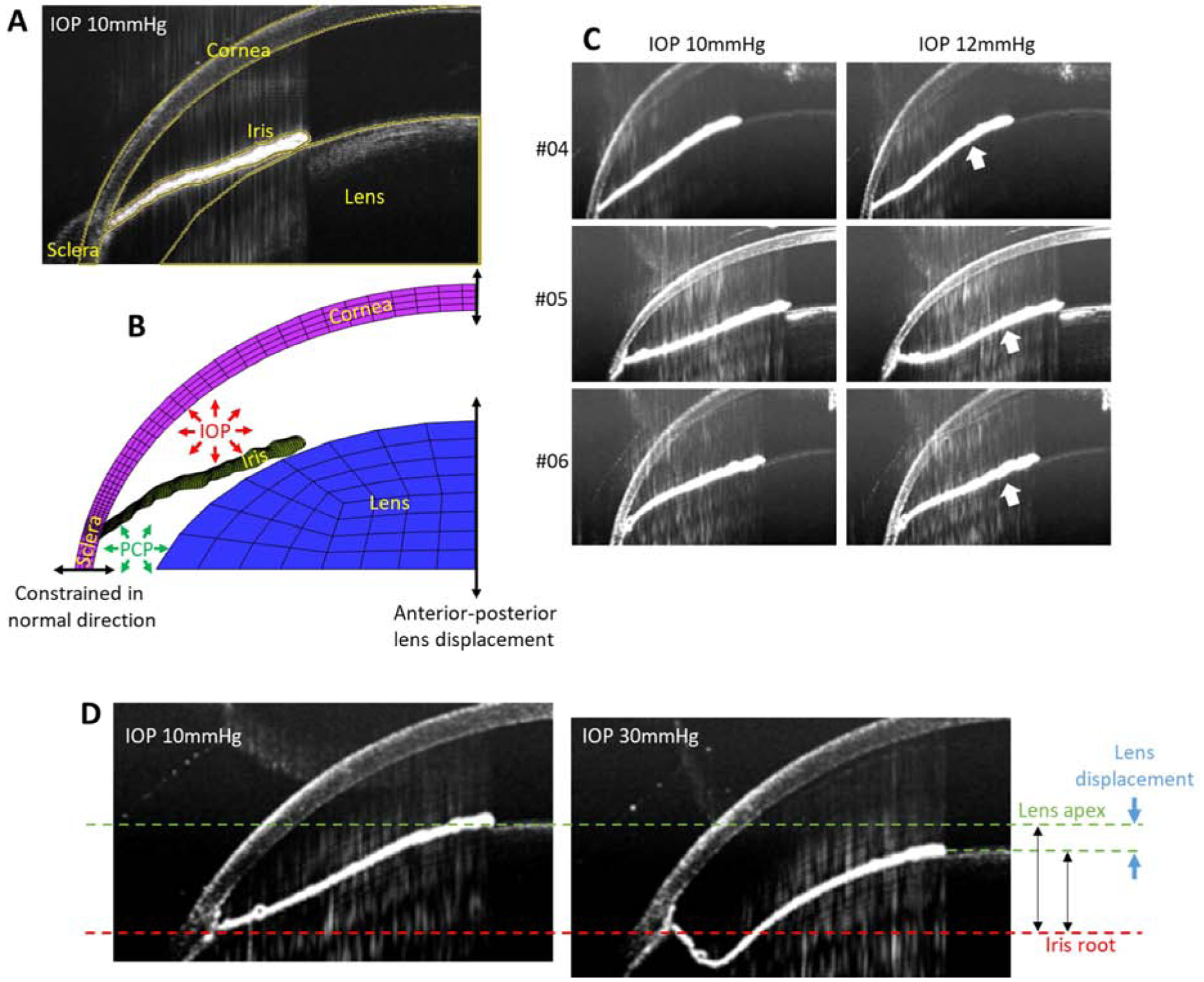 Figure 2.