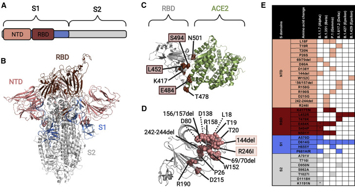 Figure 4