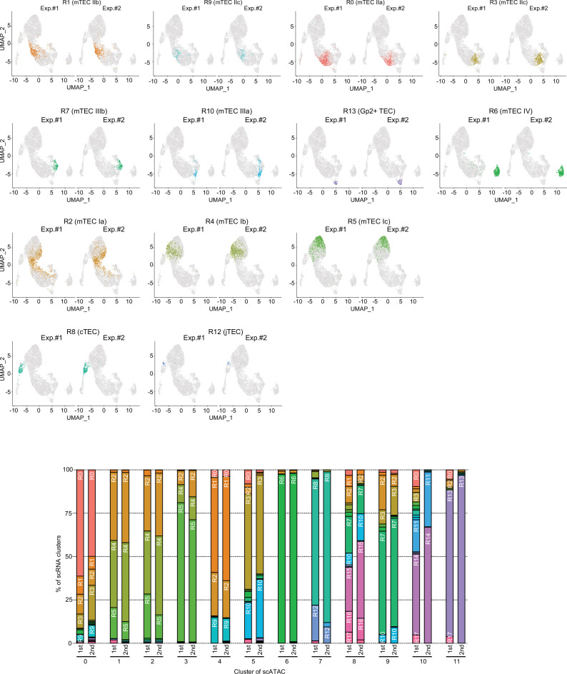 Figure 3—figure supplement 2.