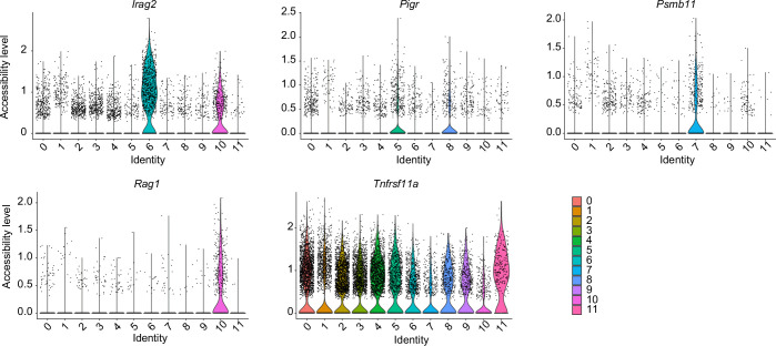 Figure 1—figure supplement 1.