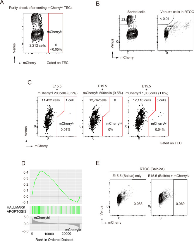 Figure 7—figure supplement 1.