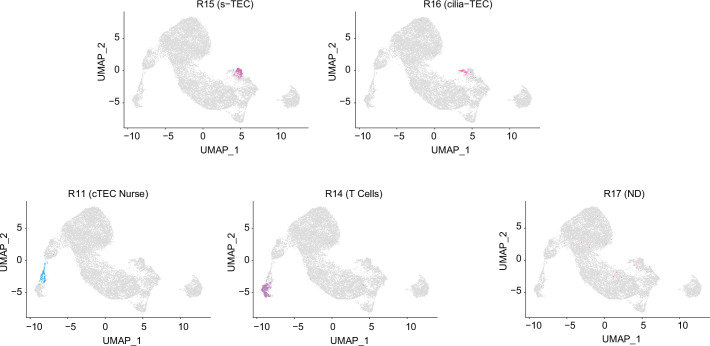 Figure 3—figure supplement 1.