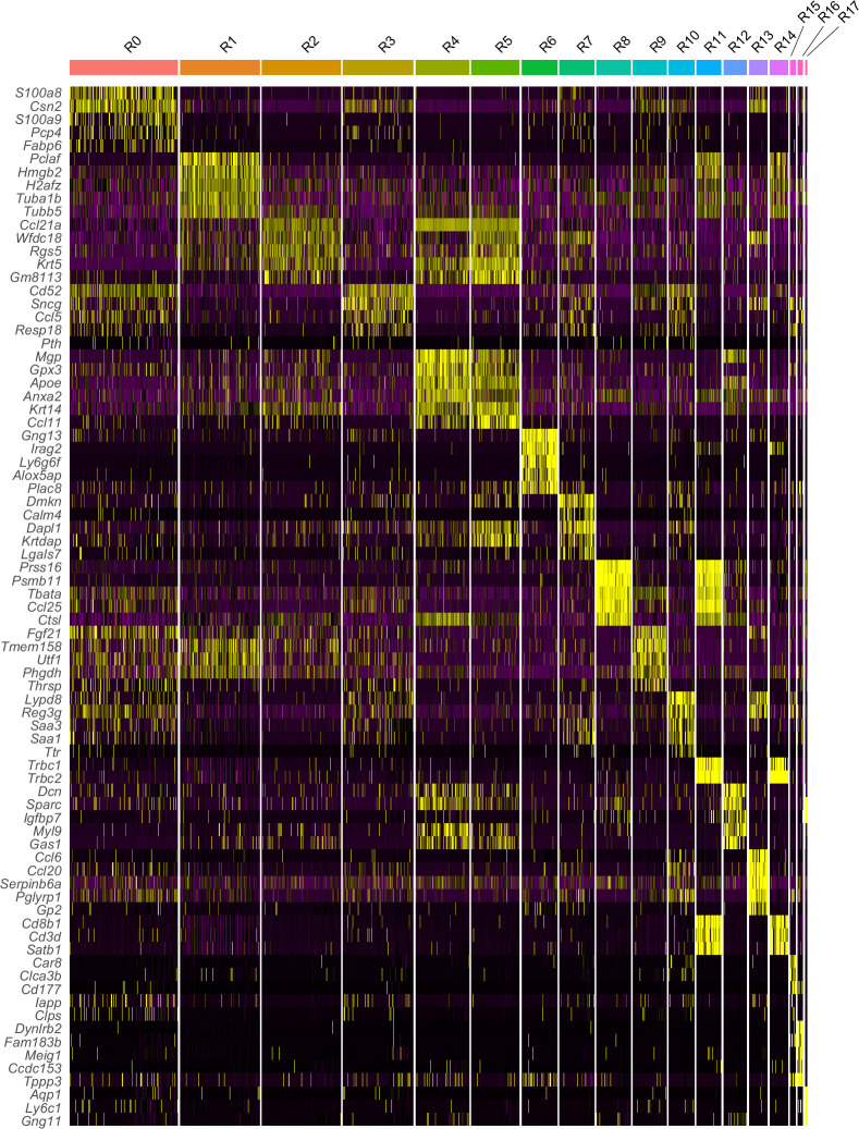 Figure 2—figure supplement 1.