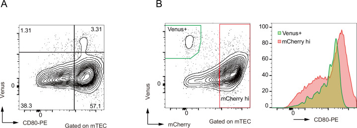 Figure 5—figure supplement 1.