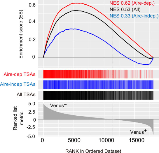 Figure 5—figure supplement 3.