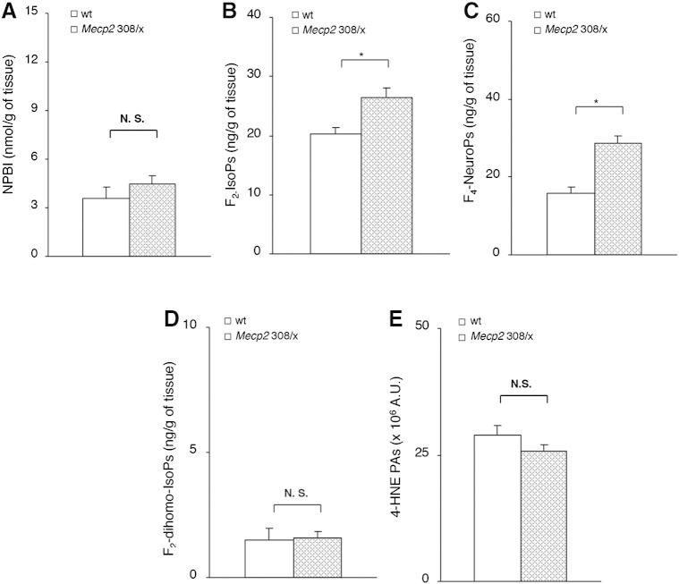 Fig. 7