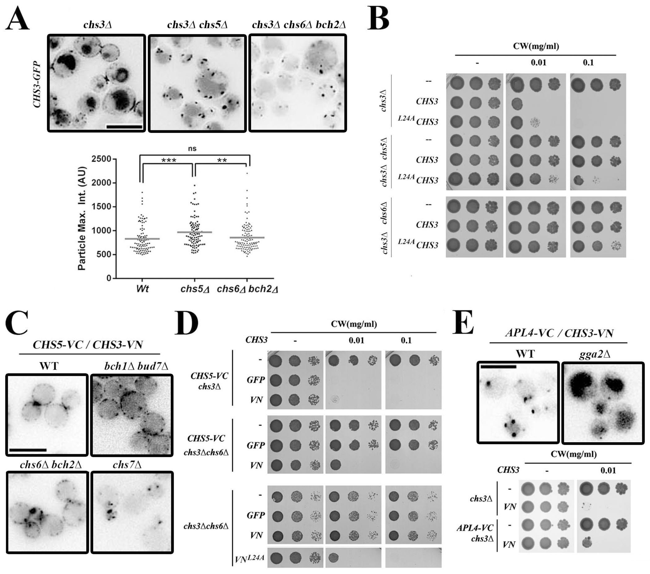 Figure 6.