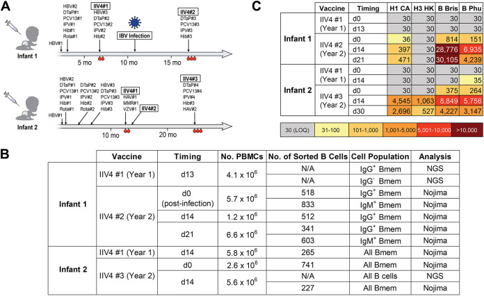 FIG 1