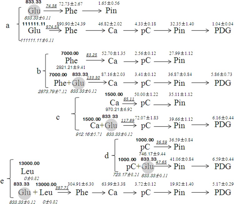 Fig 12