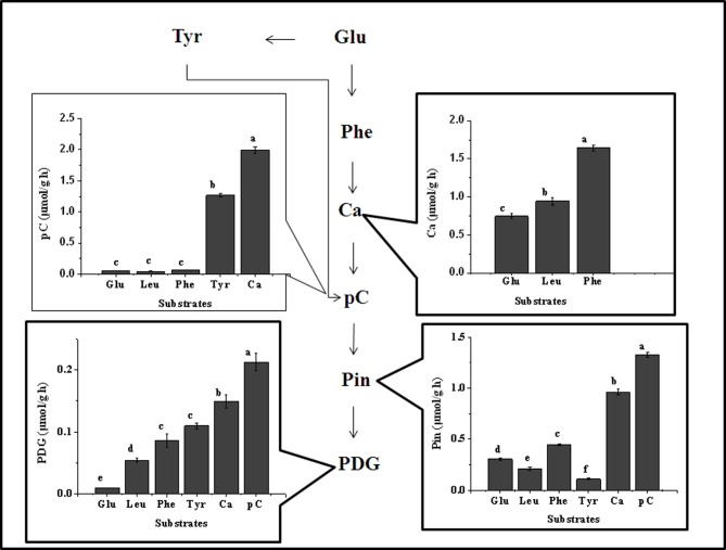 Fig 13