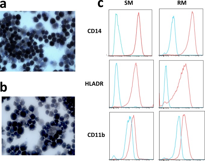 FIG 1