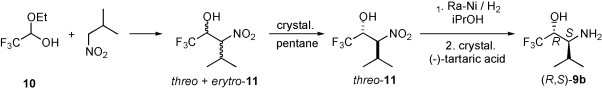 Scheme 5