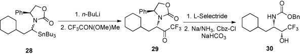 Scheme 13