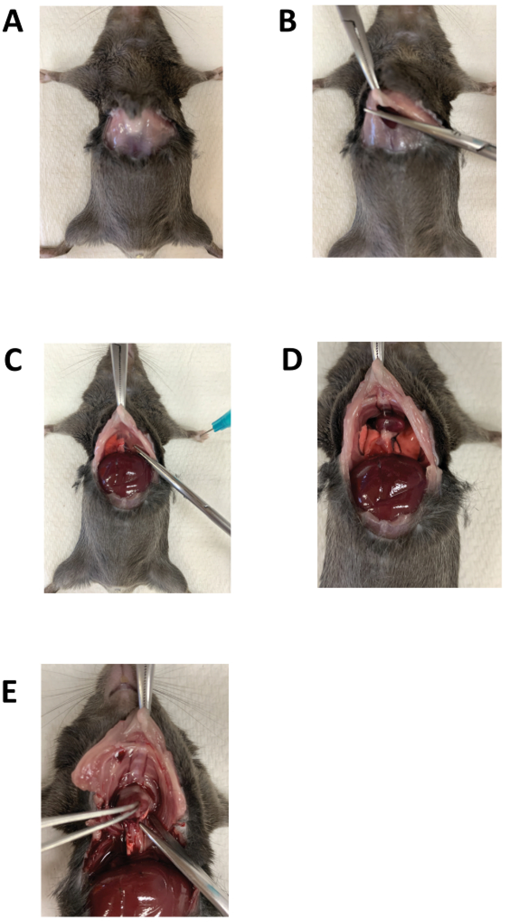 Figure 3: