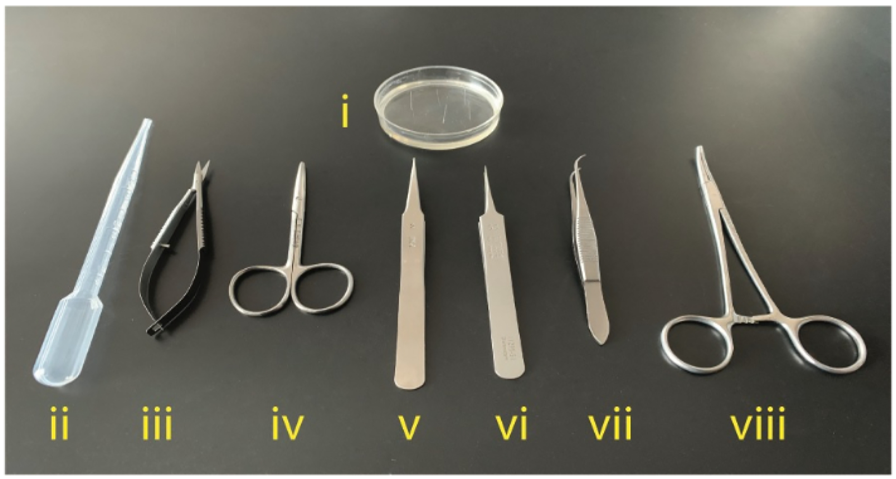 Figure 2: