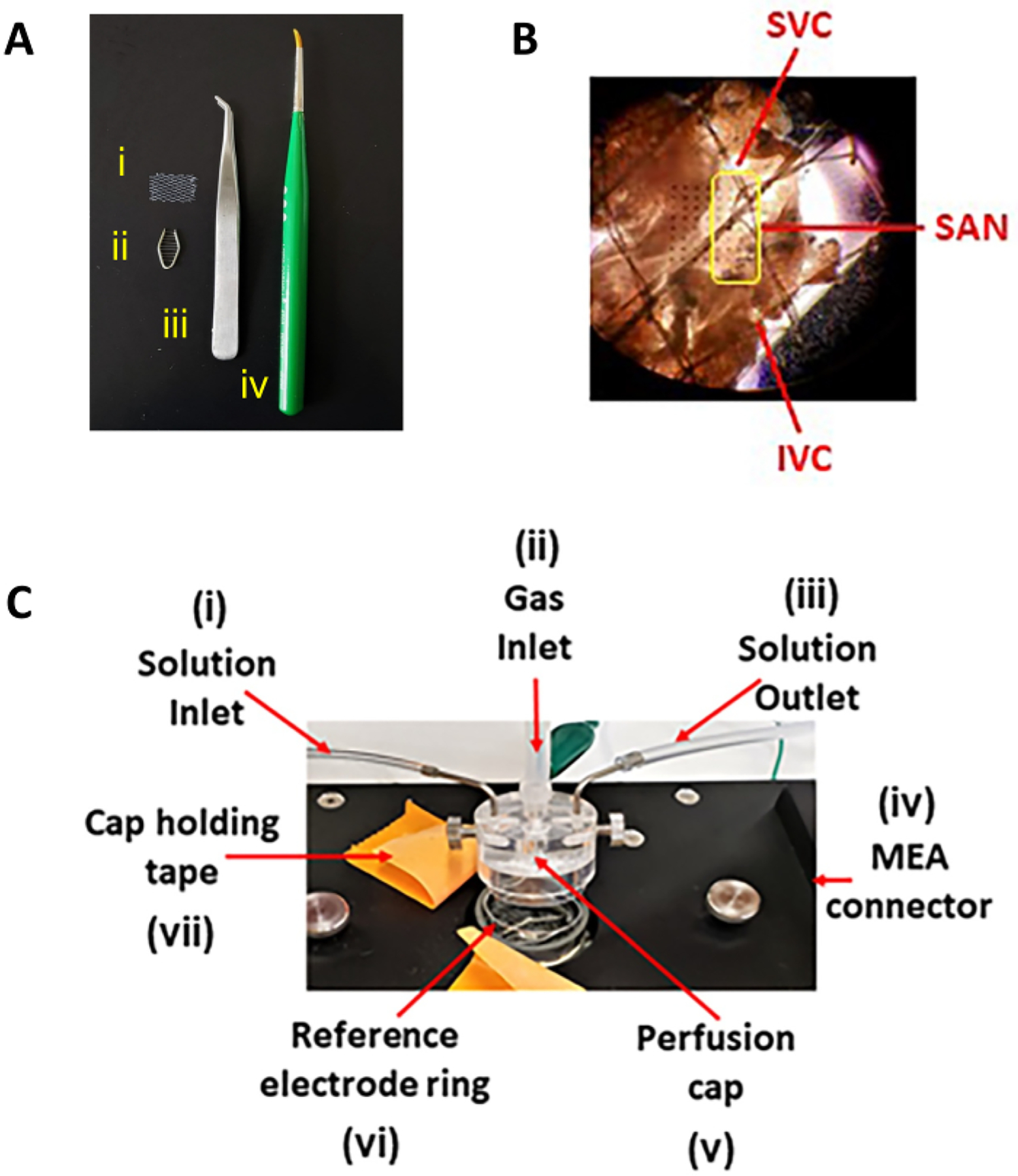 Figure 6: