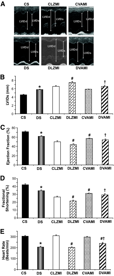 FIG. 6.