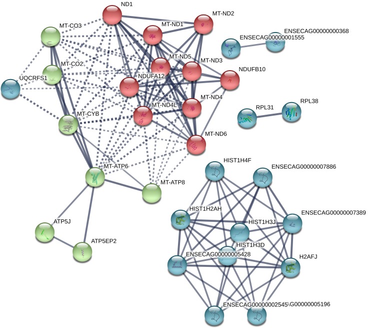 Fig 10