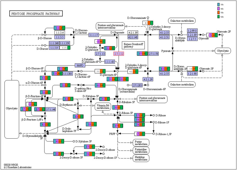 Fig 10