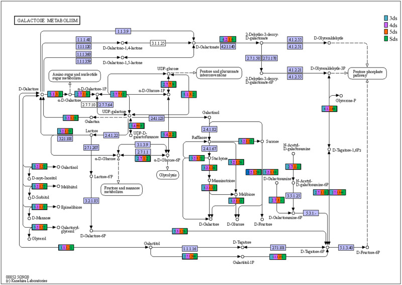 Fig 11