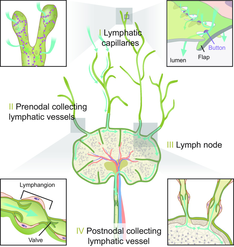 FIGURE 12.