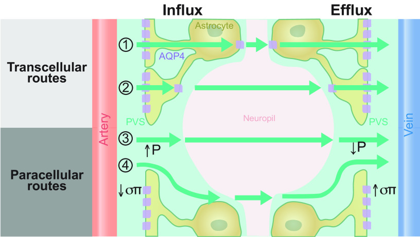 FIGURE 17.