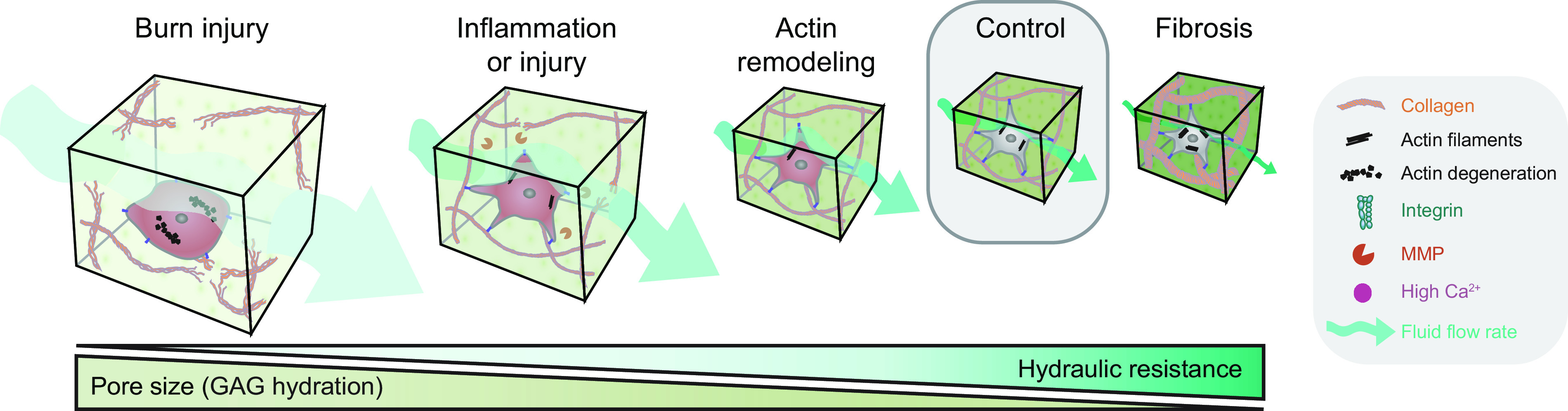 FIGURE 14.