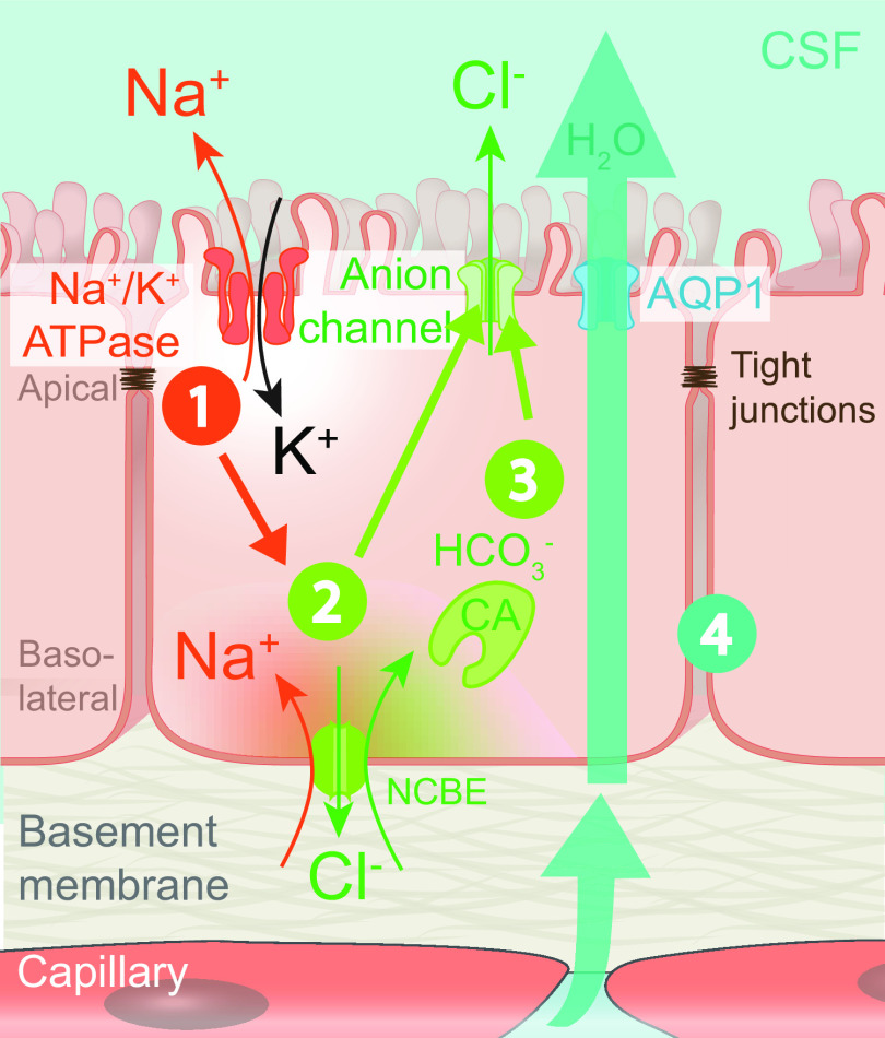 FIGURE 9.