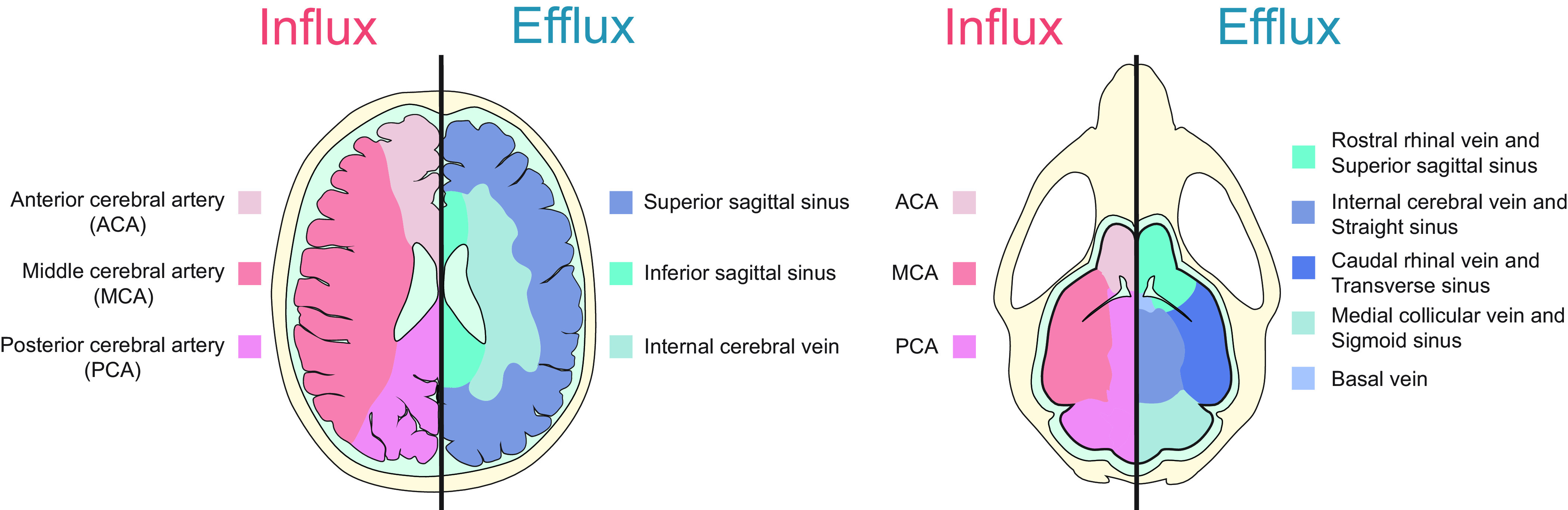 FIGURE 10.