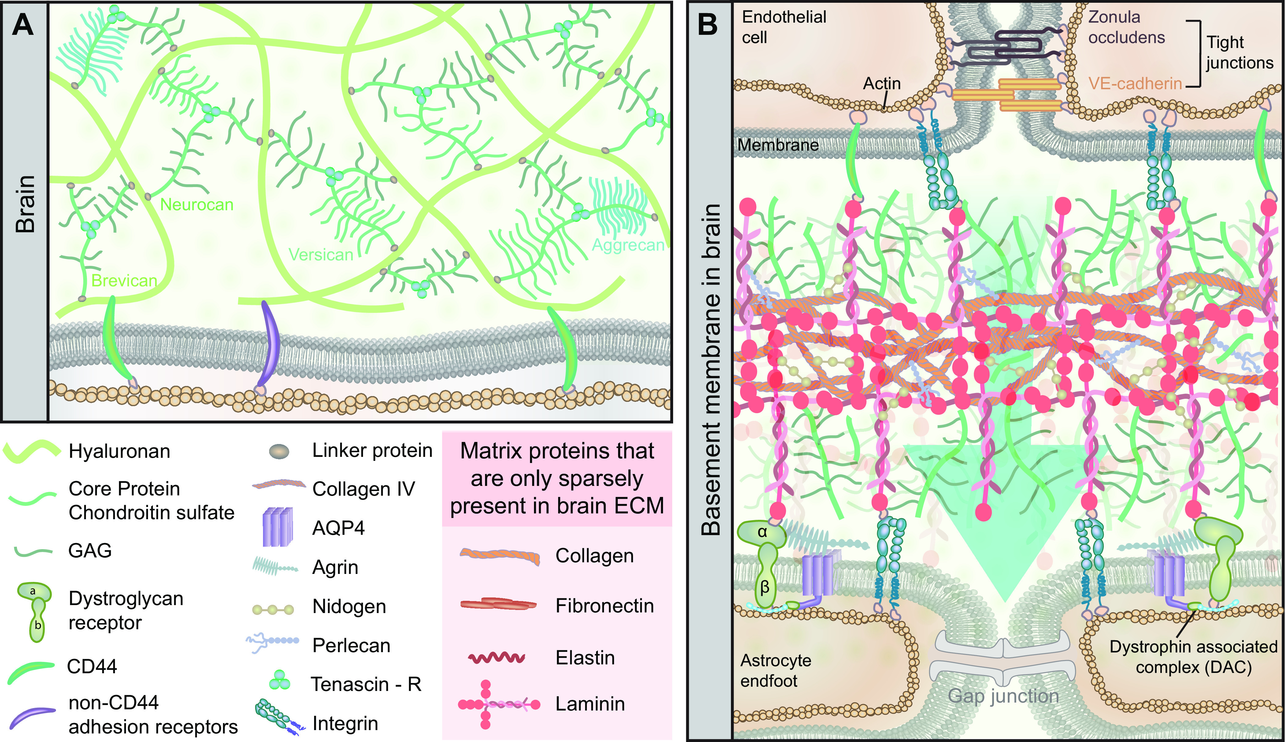 FIGURE 15.