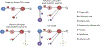 Extended Data Fig. 4