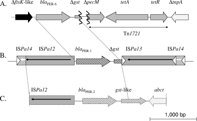 FIG. 1.